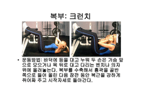 웨이트 트레이닝 초보자를 위한 기초 프로그램 -13
