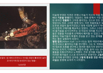 17세기 네덜란드 - 자연의 거울 -12