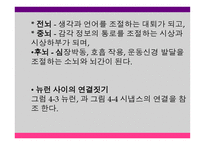 영유아 발달과 교육 세미나 - 태아기, 출생 및 두뇌 발달 -7