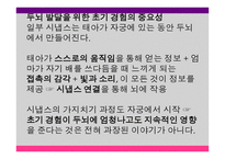 영유아 발달과 교육 세미나 - 태아기, 출생 및 두뇌 발달 -11