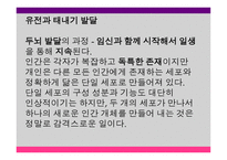 영유아 발달과 교육 세미나 - 태아기, 출생 및 두뇌 발달 -16