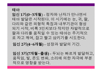 영유아 발달과 교육 세미나 - 태아기, 출생 및 두뇌 발달 -17