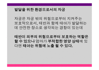 영유아 발달과 교육 세미나 - 태아기, 출생 및 두뇌 발달 -18