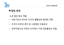 김치란 무엇인가, 김치의 제조공정, 김치의 발효, 김치의 효능 -8