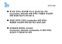 김치란 무엇인가, 김치의 제조공정, 김치의 발효, 김치의 효능 -13