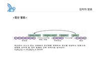 김치란 무엇인가, 김치의 제조공정, 김치의 발효, 김치의 효능 -15