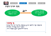 다이어트의 정의, 종류, 부작용 -6