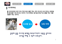 다이어트의 정의, 종류, 부작용 -7