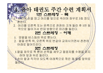 아동체육지도법 - 유아 태권도 -5