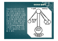 연금술의 탄생, 중세 중기의 연금술, 중세후기의 연금술 -20
