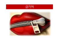 인간과언어_언어와 사회의 문제 - 서론, 성차별 언어, 남녀의 언어차이, 금기어, 방언, 결론 -13