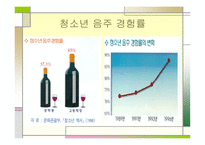 청소년 음주 및 약물 -6