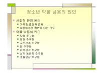 청소년 음주 및 약물 -12