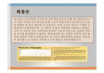 인간의 참 모습을 간파한 (Blaise Pascal) 생애와 업적 -10