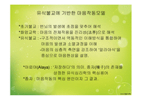 마음작동모델 연구의 목적 -12