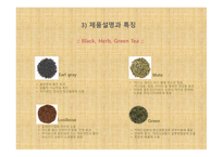 포지티브, 티 사업 계획서 -9