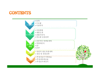1인용 물품 판매전문점, 싱글, 2030의 젊은 싱글족 겨냥 - 사업계획서 -2