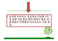 1인용 물품 판매전문점, 싱글, 2030의 젊은 싱글족 겨냥 - 사업계획서 -6