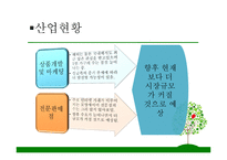 1인용 물품 판매전문점, 싱글, 2030의 젊은 싱글족 겨냥 - 사업계획서 -10