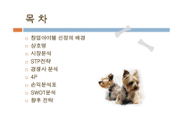 사업계획서-애견 쇼핑몰, 시장분석, 사업소개 -2