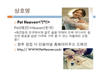 사업계획서-애견 쇼핑몰, 시장분석, 사업소개 -3