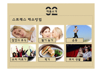 EUSTRESS 스트레스 해소 사업계획서 -10