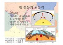 판구조론 - 대륙이동설이란, 대륙이동설의 증거, 한계 -7