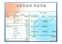 Wellbeing juice, M J 사업계획서 -11