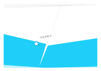 사업계획서 분식 - 사업개요, 경쟁사분석 -1