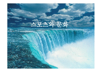 스포츠와 문화 의미, 구성체계 -1