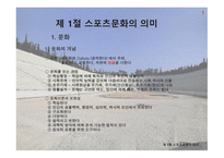 스포츠와 문화 의미, 구성체계 -3
