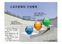 스포츠와 문화 의미, 구성체계 -10