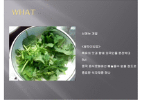 김밥 사업계획서 -8