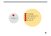 SIN피자 사업계획서 -13