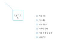 양말 전문 브랜드 사업계획서 -2