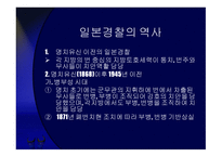 일본경찰의 역사, 일본경찰의 조직 -3