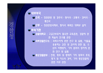 일본경찰의 역사, 일본경찰의 조직 -8