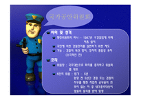 일본경찰의 역사, 일본경찰의 조직 -9