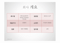 여행사 사업계획서 HONEYROMAN TOUR -10