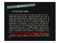 윤리와 예절 - 유기견 실태 -7