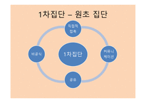 스포츠와 집단 - 스포츠 사회화 집단의 정의 -4