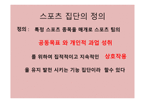 스포츠와 집단 - 스포츠 사회화 집단의 정의 -10
