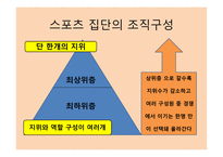 스포츠와 집단 - 스포츠 사회화 집단의 정의 -11