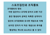 스포츠와 집단 - 스포츠 사회화 집단의 정의 -12