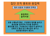 스포츠와 집단 - 스포츠 사회화 집단의 정의 -16