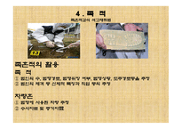 과학수사 - 지문, 족적, 거짓말 탐지기 -10