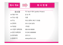 Two P 사업계획서 슈즈커버 -5