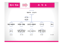 Two P 사업계획서 슈즈커버 -6