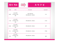 Two P 사업계획서 슈즈커버 -7