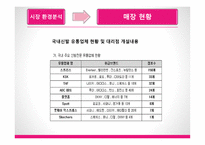 Two P 사업계획서 슈즈커버 -9
